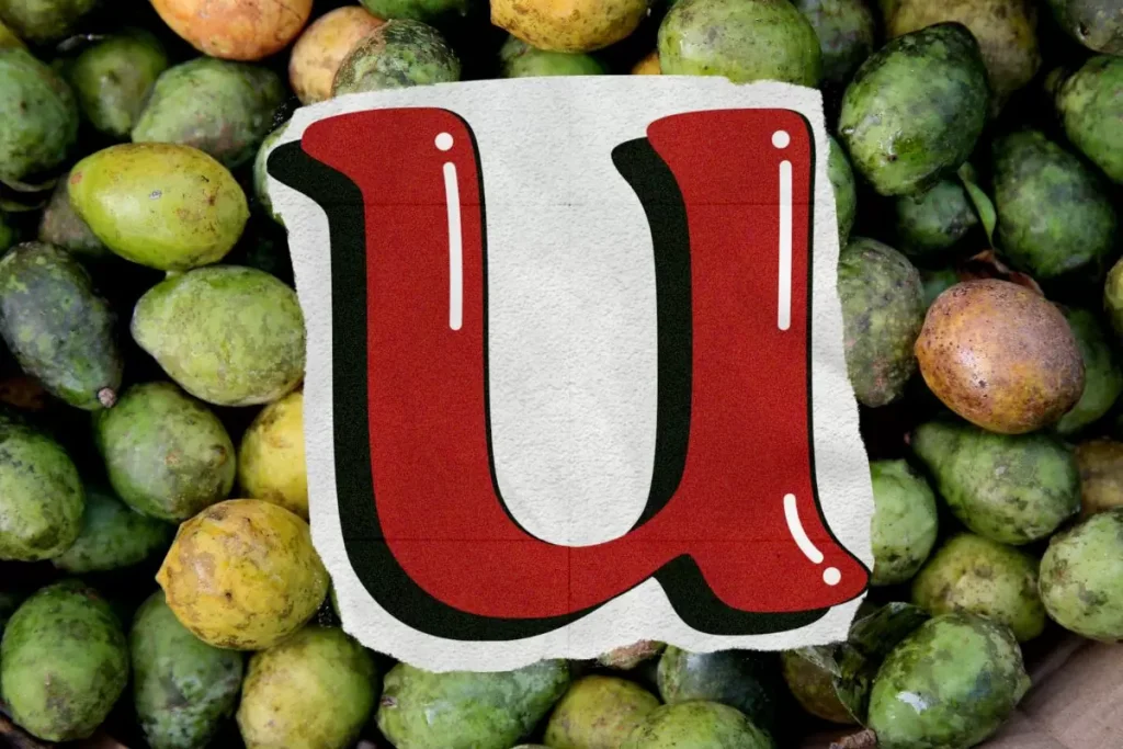 fruit en u