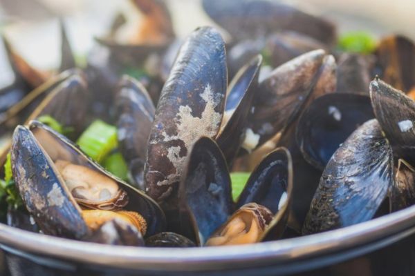 peut on congeler des moules