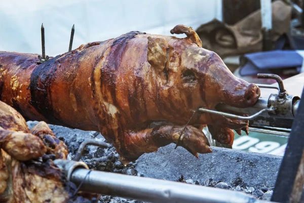 Les options de rôtissoire pour votre cochon de lait