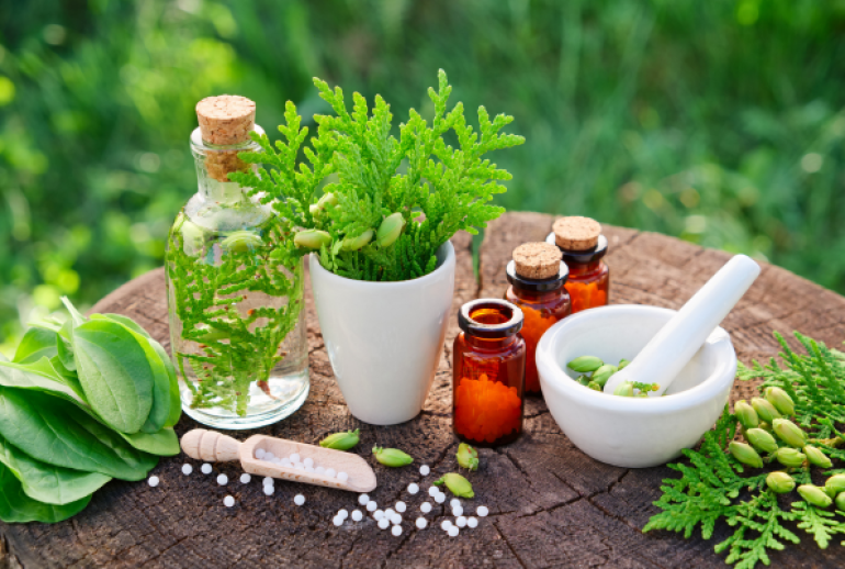 formation naturopathie