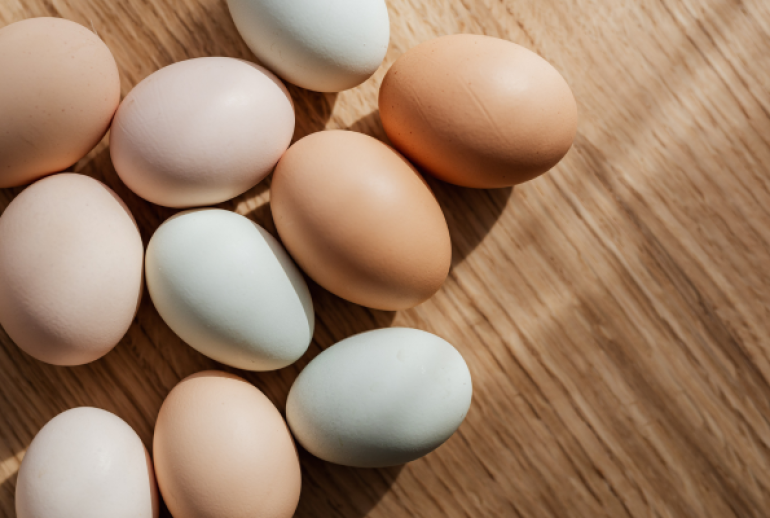 les oeufs de categories a ont plusieurs caracteristiques lesquelles