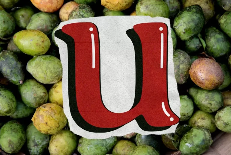 fruit en u